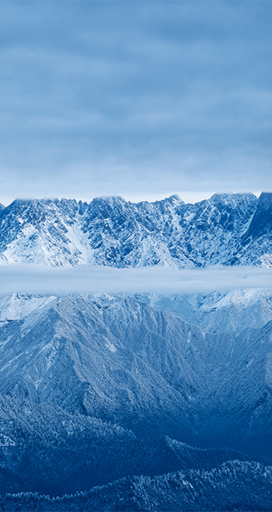 关于公海赌船710